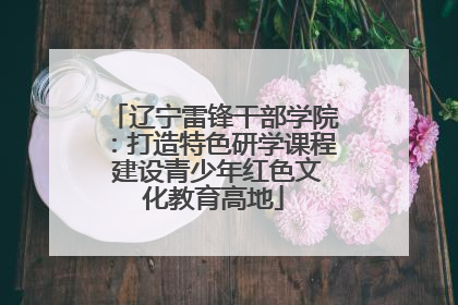 辽宁雷锋干部学院：打造特色研学课程 建设青少年红色文化教育高地