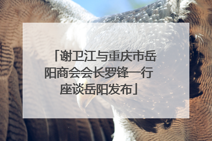 谢卫江与重庆市岳阳商会会长罗锋一行座谈岳阳发布