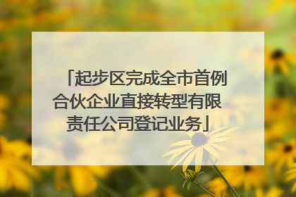 起步区完成全市首例合伙企业直接转型有限责任公司登记业务