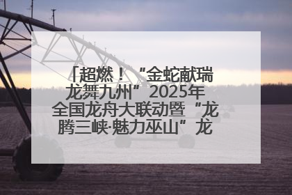 超燃！“金蛇献瑞 龙舞九州”2025年全国龙舟大联动暨“龙腾三峡·魅力巫山”龙舟邀请赛圆满落幕！
