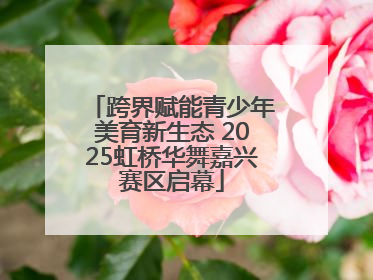 跨界赋能青少年美育新生态 2025虹桥华舞嘉兴赛区启幕