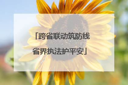 跨省联动筑防线 省界执法护平安