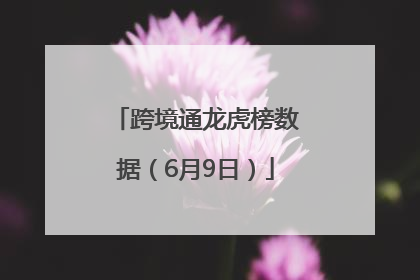 跨境通龙虎榜数据（6月9日）