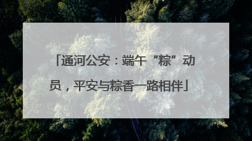 通河公安：端午“粽”动员，平安与粽香一路相伴