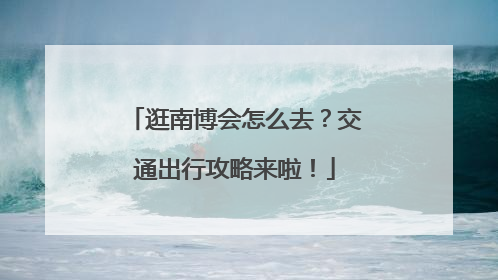 逛南博会怎么去？交通出行攻略来啦！