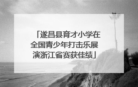 遂昌县育才小学在全国青少年打击乐展演浙江省赛获佳绩