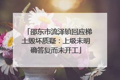 邵东市流泽镇回应梯土毁坏质疑：上级未明确答复而未开工
