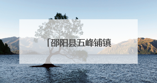 邵阳县五峰铺镇：精准发展产业 拓宽共富之路