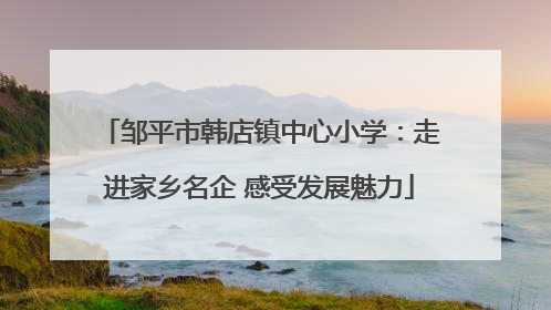 邹平市韩店镇中心小学：走进家乡名企 感受发展魅力