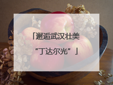 邂逅武汉壮美“丁达尔光”