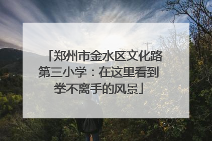 郑州市金水区文化路第三小学：在这里看到拳不离手的风景