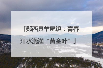 郧西县羊尾镇：青春汗水浇灌“黄金叶”