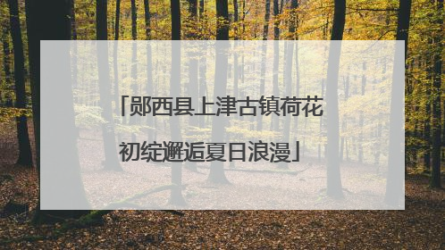 郧西县上津古镇荷花初绽邂逅夏日浪漫