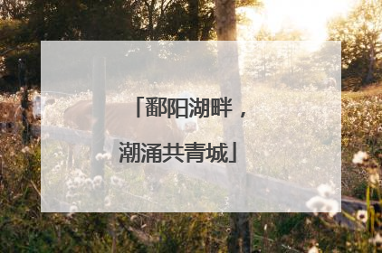 鄱阳湖畔，潮涌共青城