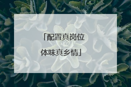 配置真岗位 体味真乡情