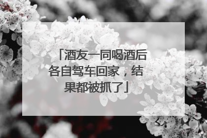 酒友一同喝酒后各自驾车回家，结果都被抓了