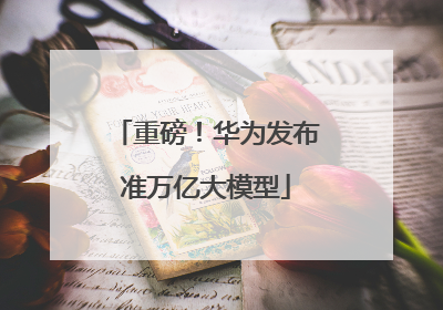 重磅！华为发布准万亿大模型