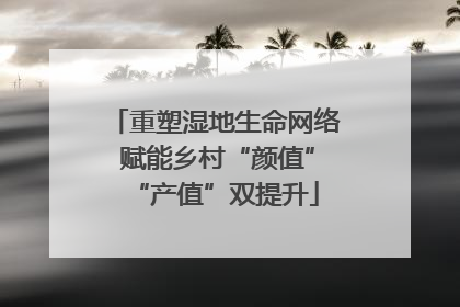 重塑湿地生命网络 赋能乡村“颜值”“产值”双提升