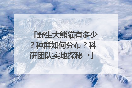野生大熊猫有多少？种群如何分布？科研团队实地探秘→