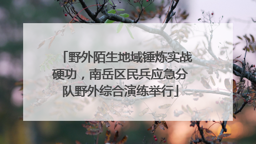 野外陌生地域锤炼实战硬功，南岳区民兵应急分队野外综合演练举行