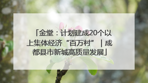 金堂：计划建成20个以上集体经济“百万村”｜成都县市新城高质量发展