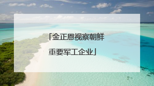 金正恩视察朝鲜重要军工企业