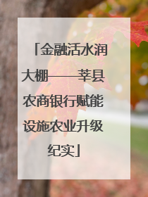 金融活水润大棚——莘县农商银行赋能设施农业升级纪实