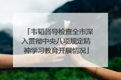 韦韬督导检查全市深入贯彻中央八项规定精神学习教育开展情况