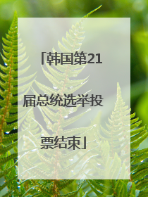 韩国第21届总统选举投票结束