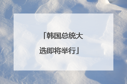 韩国总统大选即将举行