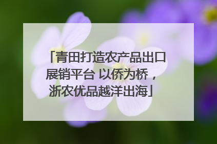 青田打造农产品出口展销平台 以侨为桥，浙农优品越洋出海