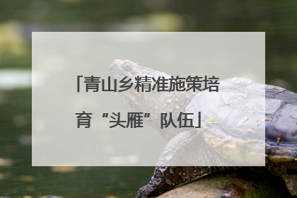 青山乡精准施策培育“头雁”队伍
