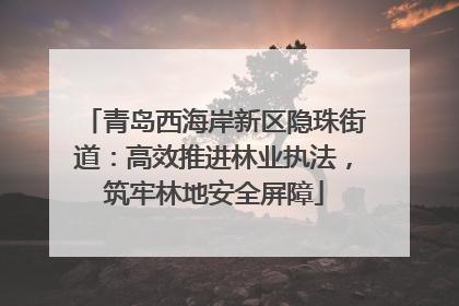 青岛西海岸新区隐珠街道：高效推进林业执法，筑牢林地安全屏障