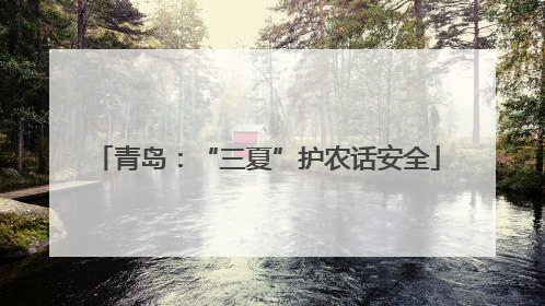 青岛：“三夏”护农话安全