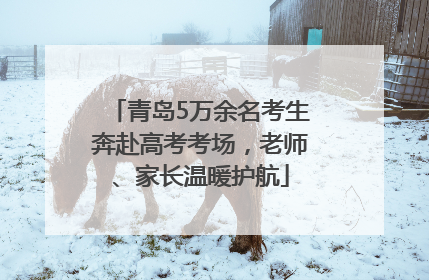 青岛5万余名考生奔赴高考考场，老师、家长温暖护航