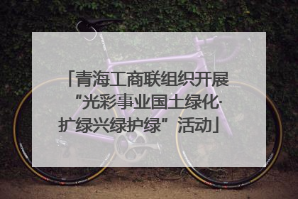 青海工商联组织开展“光彩事业国土绿化·扩绿兴绿护绿”活动