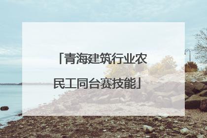 青海建筑行业农民工同台赛技能