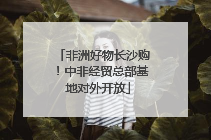 非洲好物长沙购！中非经贸总部基地对外开放