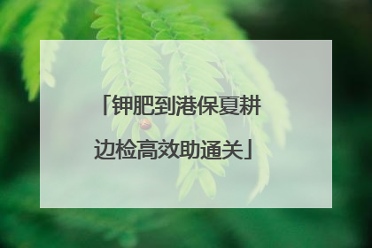 钾肥到港保夏耕 边检高效助通关