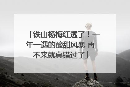 铁山杨梅红透了！一年一遇的酸甜风暴 再不来就真错过了