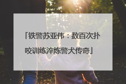 铁警苏亚伟：数百次扑咬训练淬炼警犬传奇