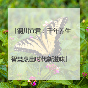 铜川宜君：千年养生智慧烹出时代新滋味