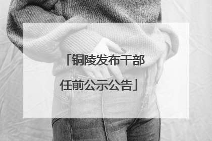 铜陵发布干部任前公示公告