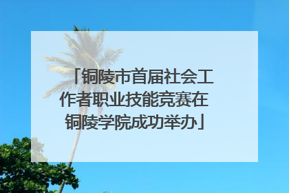 铜陵市首届社会工作者职业技能竞赛在铜陵学院成功举办