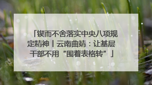 锲而不舍落实中央八项规定精神丨云南曲靖：让基层干部不用“围着表格转”