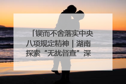 锲而不舍落实中央八项规定精神｜湖南探索“无扰督查”深化基层减负