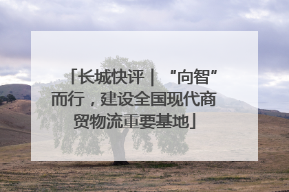 长城快评｜“向智”而行，建设全国现代商贸物流重要基地