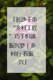 长沙千余“乡村工匠”巧手织就振兴梦｜乡村行·看振兴