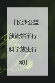 长沙公益放流站举行科学放生行动