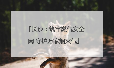 长沙：筑牢燃气安全网 守护万家烟火气